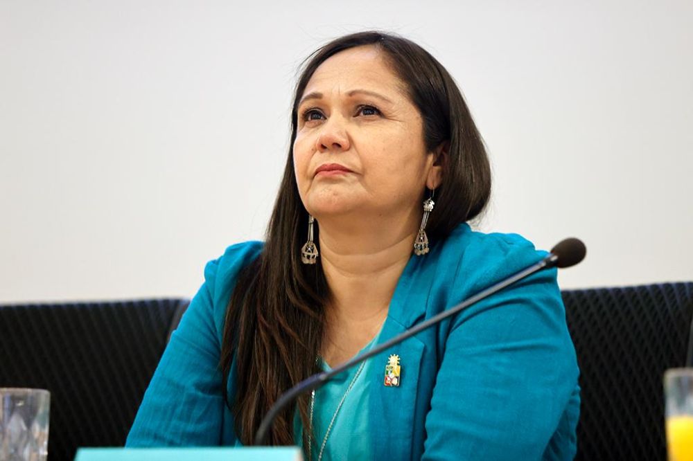 En la imagen podemos ver a la profesora Verónica Figueroa Huencho, miembro del Consejo Asesor de TODCH.